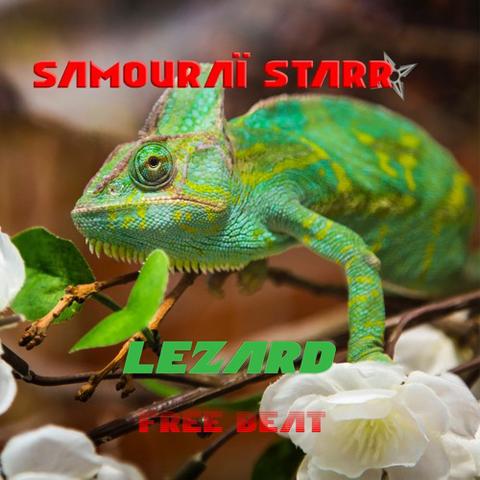 Lezard | Free beat 2022 for Profit封面