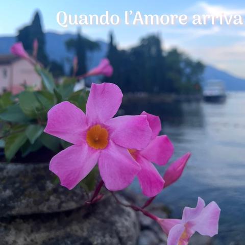 Quando l’Amore arriva封面